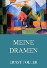 Meine Dramen - Ernst Toller - 9783849637804