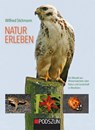 Natur erleben - Ein Mosaik aus Wissenswertem über Natur und Landschaft in Westfalen - Wilfried Stichmann - 9783861339472