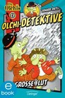 Olchi-Detektive 13. Die große Flut - Erhard Dietl ; Barbara Iland-Olschewski - 9783862743971