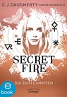 Secret Fire 1. Die Entflammten - C.J. Daugherty ; Carina Rozenfeld ; Carolin Liepins - 9783862747559