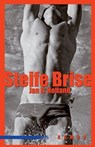 Steife Brise - Jan R Holland - 9783863000080