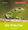 Die Eidechse - Barbara Rath - 9783863163693