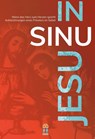 IN SINU JESU - Ein benediktinischer Mönch - 9783864171178