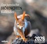 Der heroische Hörnchenkalender (2026) -  - 9783865995919