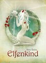 Elfenkind - Inka-Gabriela Schmidt - 9783866086029