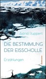 Die Bestimmung der Eisscholle - Astrid Ruppert - 9783866382497