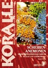 Scheibenanemonen - Daniel Knop - 9783866590533