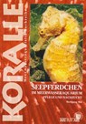 Seepferdchen im Meerwasseraquarium - Wolfgang Mai - 9783866590571