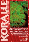 Großpolypige Steinkorallen - Dieter Brockmann - 9783866591677