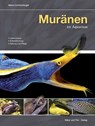 Muränen im Aquarium - Marco Lichtenberger - 9783866592117