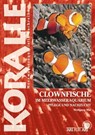 Clownfische Im Meerwasseraquarium - Wolfgang Mai - 9783866592797