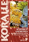 Scheibenanemonen im Meerwasseraquarium - Daniel Knop - 9783866593572