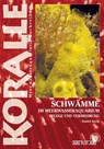 Schwämme im Meerwasseraquarium - Daniel Knop - 9783866593589