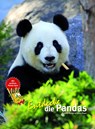 Entdecke die Pandas - Eveline Dungl ; Kriton Kunz - 9783866594098