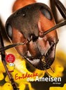 Entdecke die Ameisen - Ralf Klinger - 9783866594203
