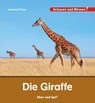 Die Giraffe - Johanna Prinz - 9783867609647