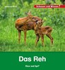 Das Reh - Johanna Prinz - 9783867609913