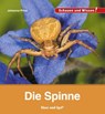 Die Spinne - Johanna Prinz - 9783867609982