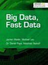 Big Data, Fast Data - Jochen Mader ; Michael Lex ; Dr. Daniel Pape ; Matthias Niehoff - 9783868027396