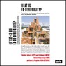 What is Co-Dividuality? - Salvator-John A. Liotta ; Fabienne Louyot - 9783868596212