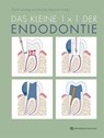 Das kleine 1x1 der Endodontie - David Sonntag ; Michael Hülsmann - 9783868676112