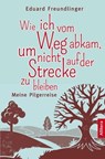 Wie ich vom Weg abkam, um nicht auf der Strecke zu bleiben - Eduard Freundlinger - 9783869069647