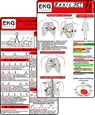 EKG Basic Set (er Set) - Herzrhythmusstörungen, EKG Auswertung - Medizinische Taschen-Karte -  - 9783869572741