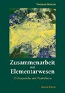 Zusammenarbeit mit Elementarwesen - Thomas Mayer - 9783890605609