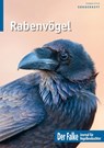 Rabenvögel - Redaktion Der Falke - 9783891048627
