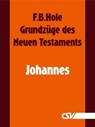 Grundzüge des Neuen Testaments - Johannes - F. B. Hole - 9783892875123