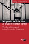 Wie gesellschaftliche Güter zu privatem Reichtum werden - Georg Auernheimer - 9783894387525