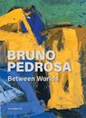 Bruno Pedrosa - Thereza Pedrosa - 9783897907256