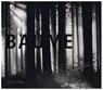 Bäume - Helmut Hirler - 9783898234801