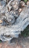 verwurzelt & versteinert - Brigitte Knapp - 9783903539433