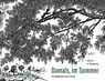 Damals, im Sommer - Jie Wei - 9783907277201