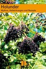 Holunder - Krystin Liebert - 9783910150799