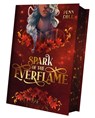 Spark of the Everflame - Penn Cole - 9783911244084