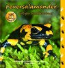 Feuersalamander - Heiderose Fischer-Nagel ; Andreas Fischer-Nagel - 9783930038589