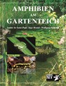 Amphibien am Gartenteich - Andre de Saint-Paul ; Ingo Brand ; Wolfgang Schmidt - 9783931587093