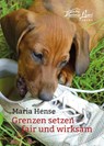 Grenzen setzen - Maria Hense - 9783936188745