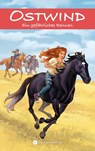 Ostwind - Ein gefährliches Rennen - Schwarz Rosa - 9783940919540