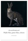 Weißer Hase, grauer Hase, schwarz - Øyvind Rimbereid - 9783942955799