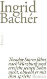 Theodor Storm fährt nach Würzburg und erreicht seinen Sohn nicht, obwohl er mit ihm spricht - Ingrid Bachér - 9783943941203