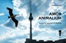 Amor Animalium - Klara Bezug - 9783944858715