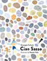 Ciao Sasso - Giuseppe Caliceti - 9783944858968