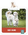 Mein kleines Tier-Lexikon - Der Hund - Hannah Kastenhuber - 9783946360308