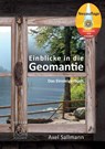 Einblicke in die Geomantie - Das Einsteigerbuch - Axel Sallmann - 9783946723738