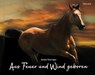 Aus Feuer und Wind geboren - Gisela Thuringer - 9783947171088