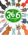 36 und 6 Katzen - Halyna Wdowytschenko - 9783948259228