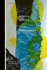 Eine Nebensache - Adania Shibli - 9783949203312
